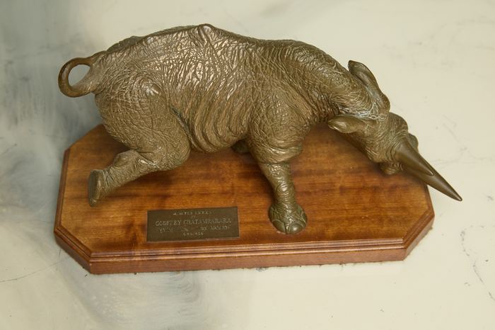 Fighting Rhino - Impi Mkhombe